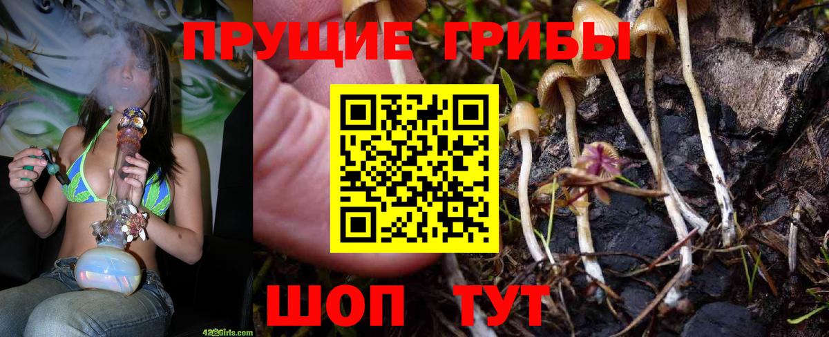 Галлюциногенные грибы Cubensis Владикавказ